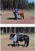 me and my horse 2